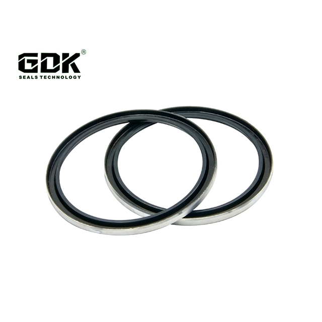 Factory Price Seals Manufacturer High Pressure Dust Seal For Hydraulic Cylinder